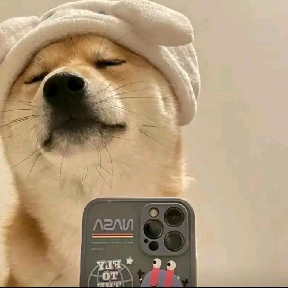 热心网友