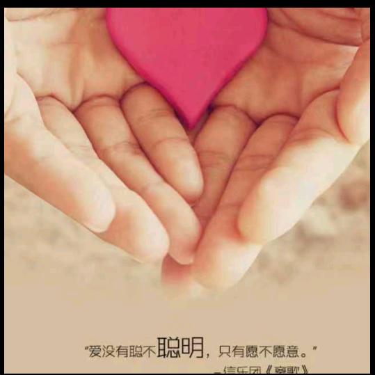 梦龙