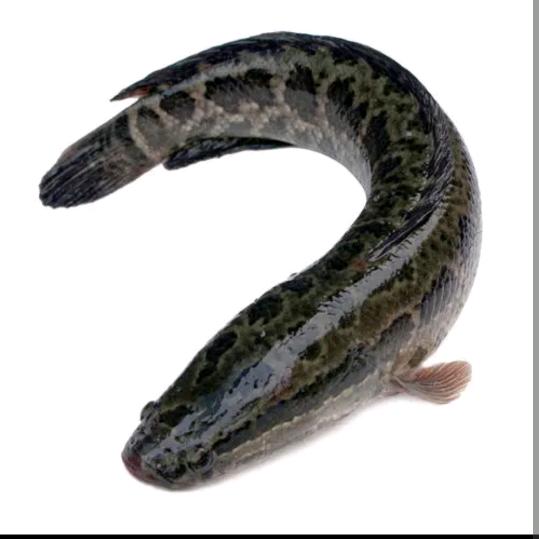 渔乐天下🌈🌈🌈