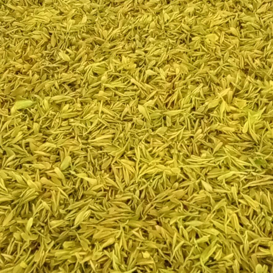 遂昌为民茶叶