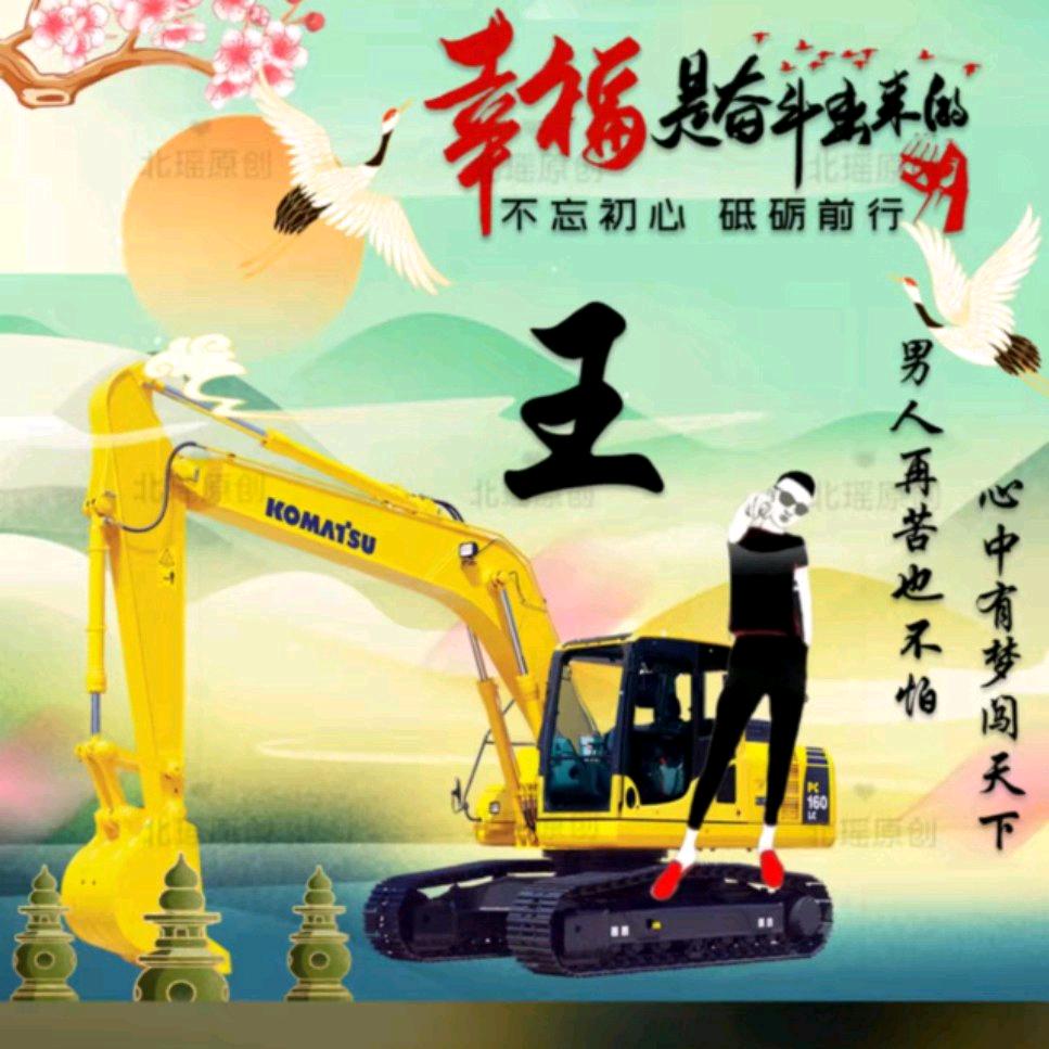 安徽大军上海金山挖挖机。互关
