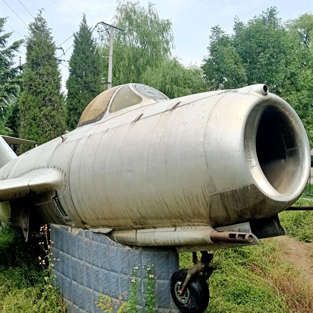 我命由我不由天