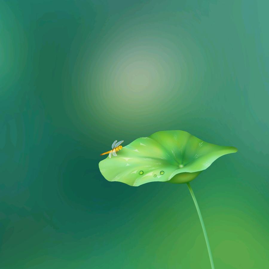一生所爱