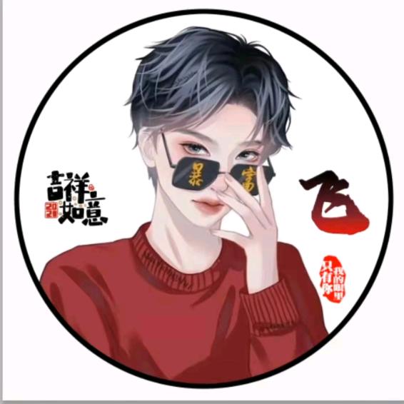 阿飞《手机摄影》