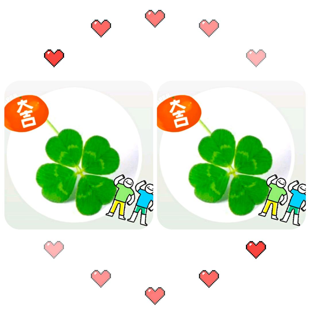 逆风飞扬&紫电青霜