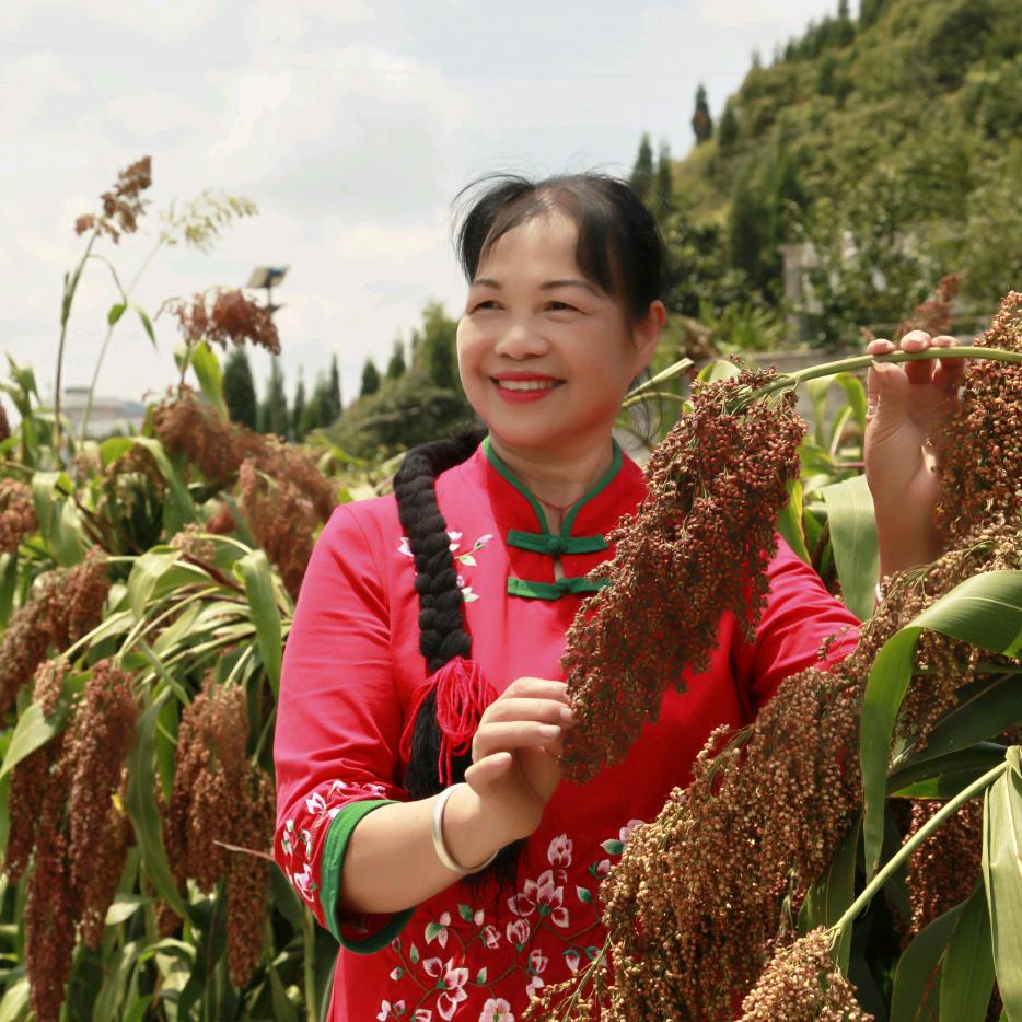 山杏子