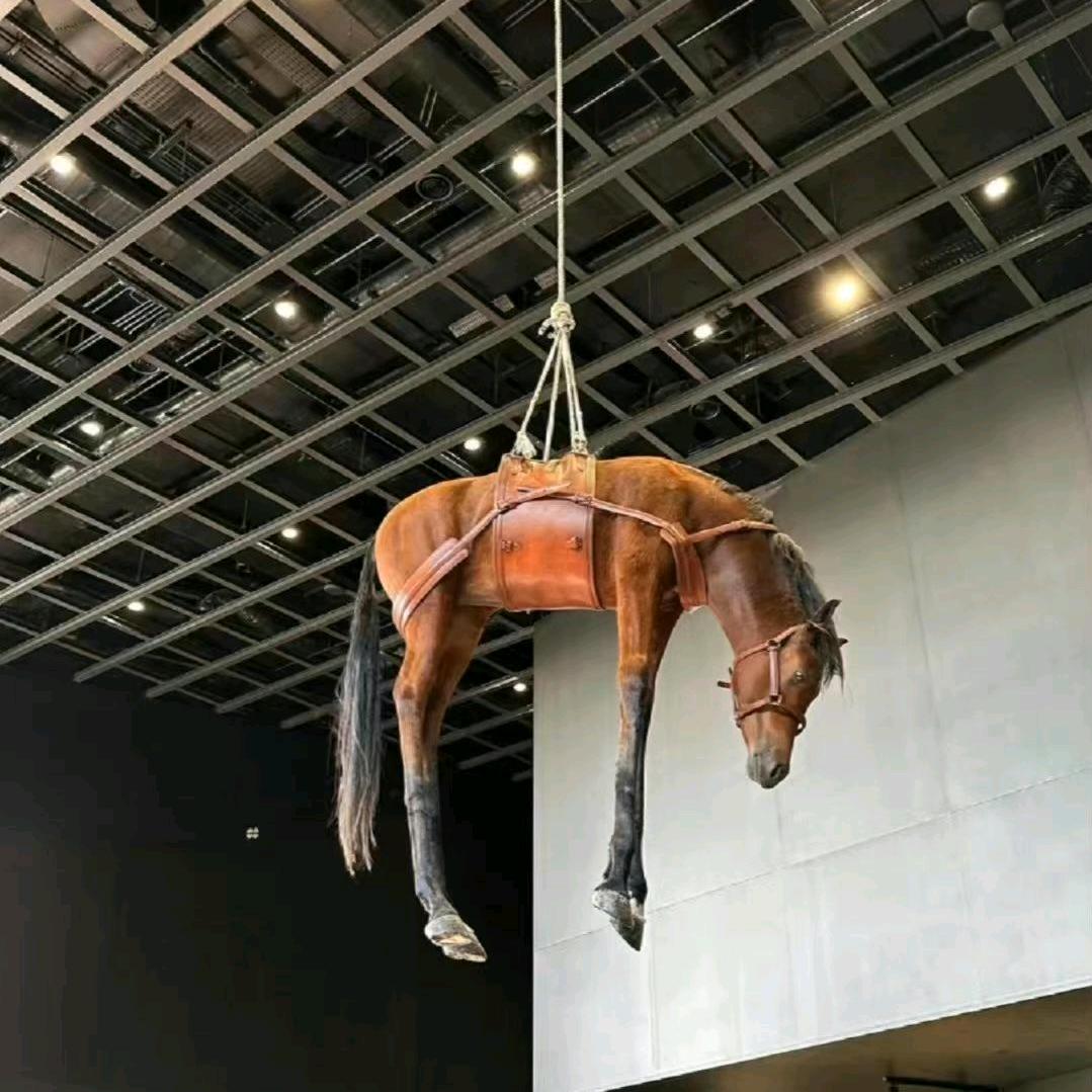 回合龙宫