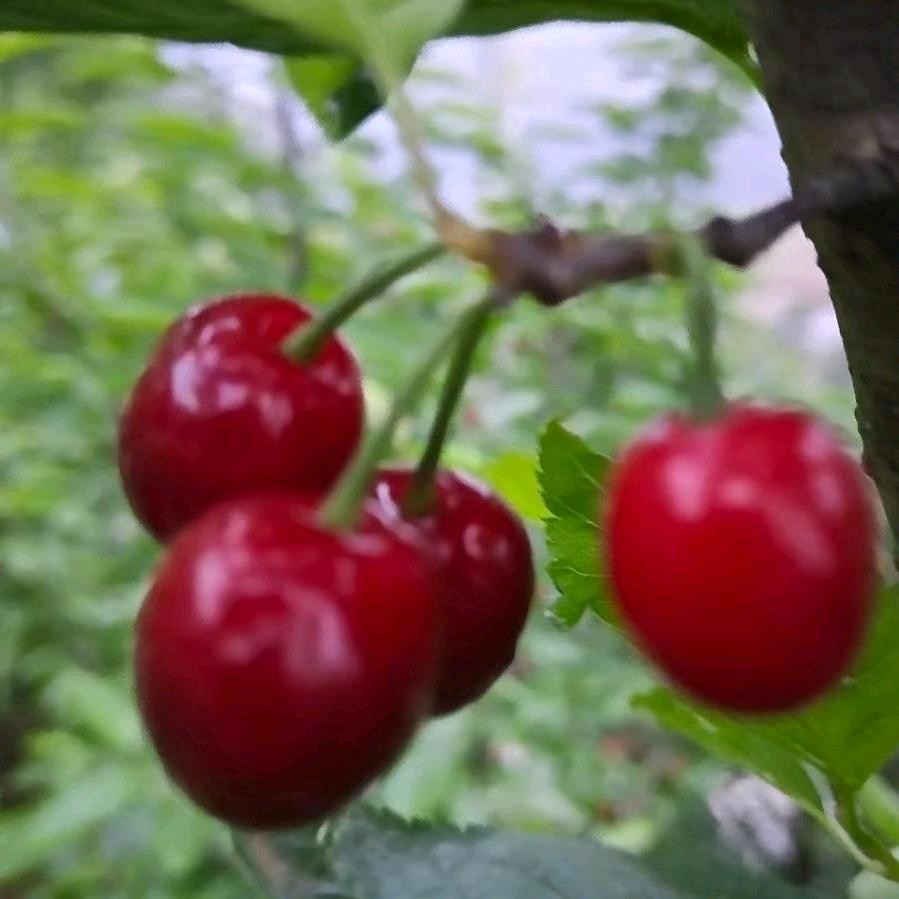 看不见的命运。