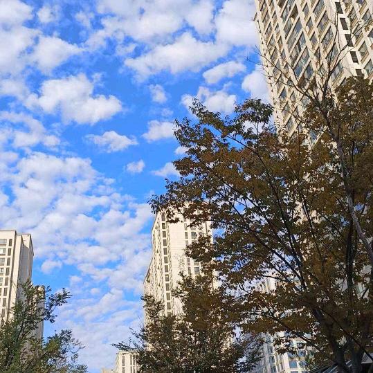 清风明月时