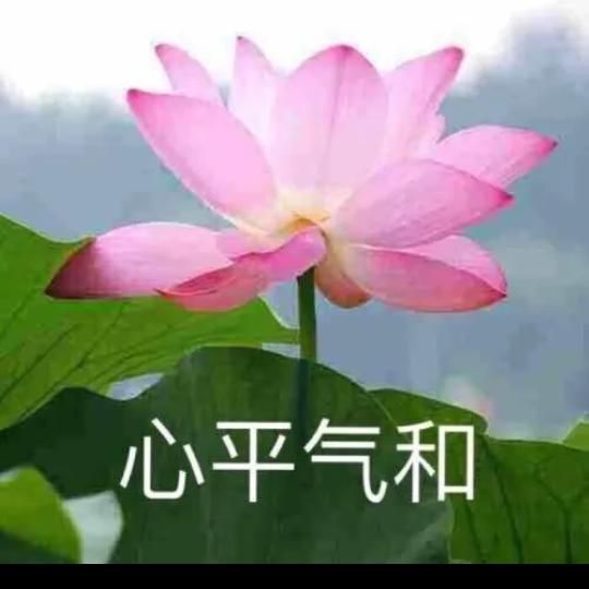 天琪奶奶