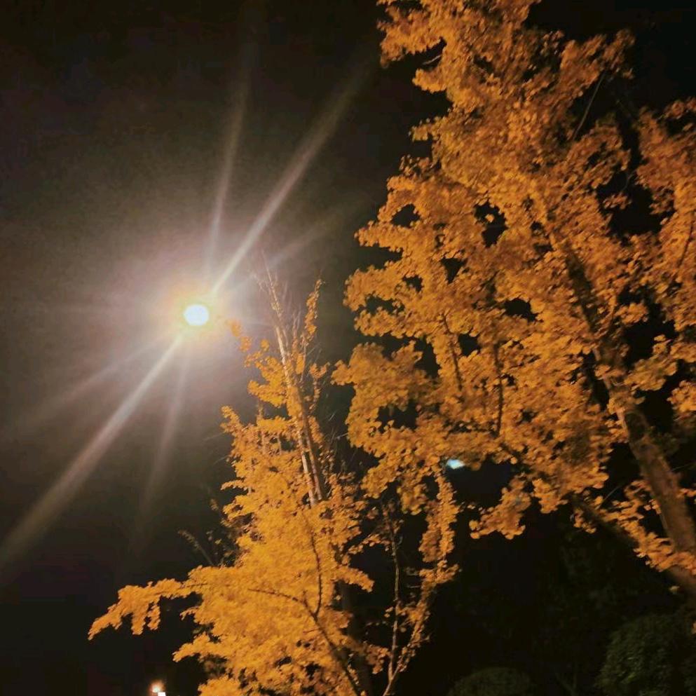 幸福