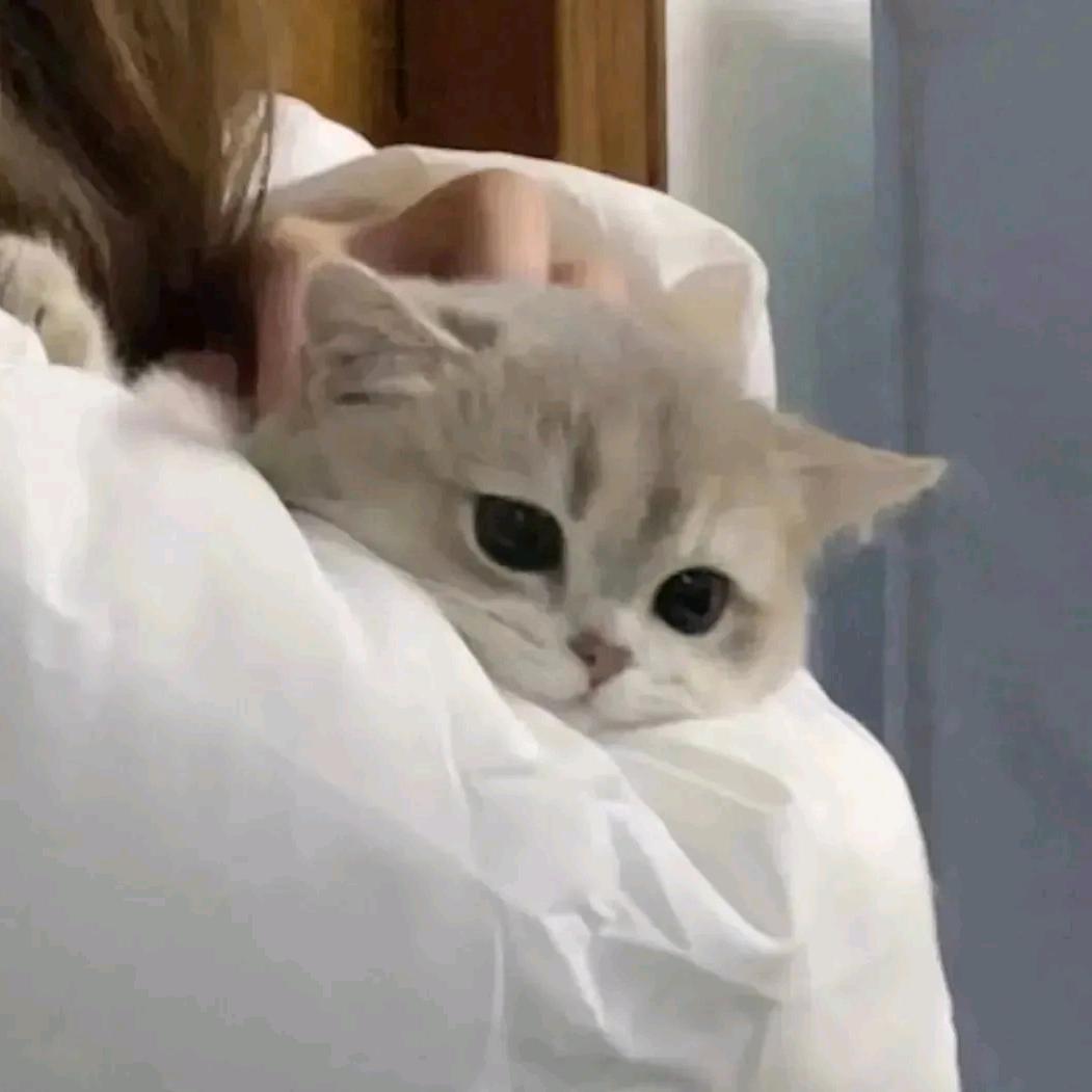 潘十安头像