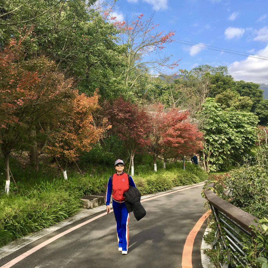 开悟