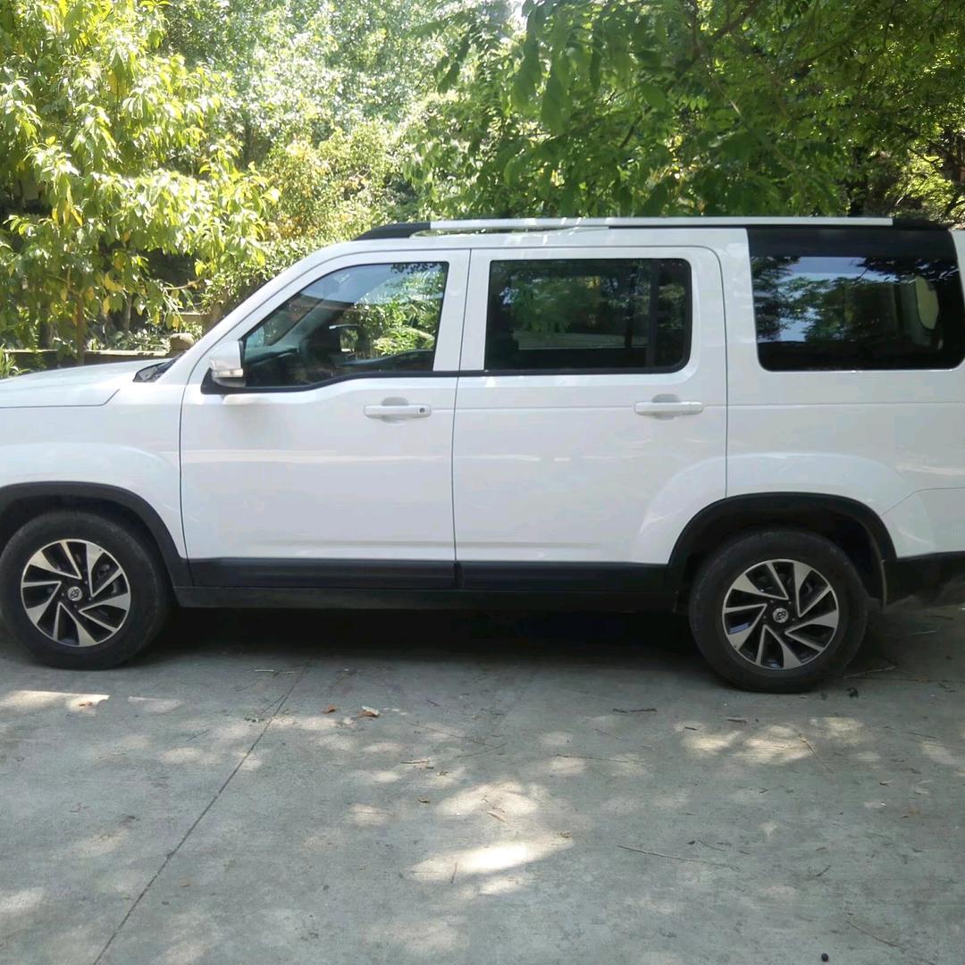 翱翔  旅游摄影