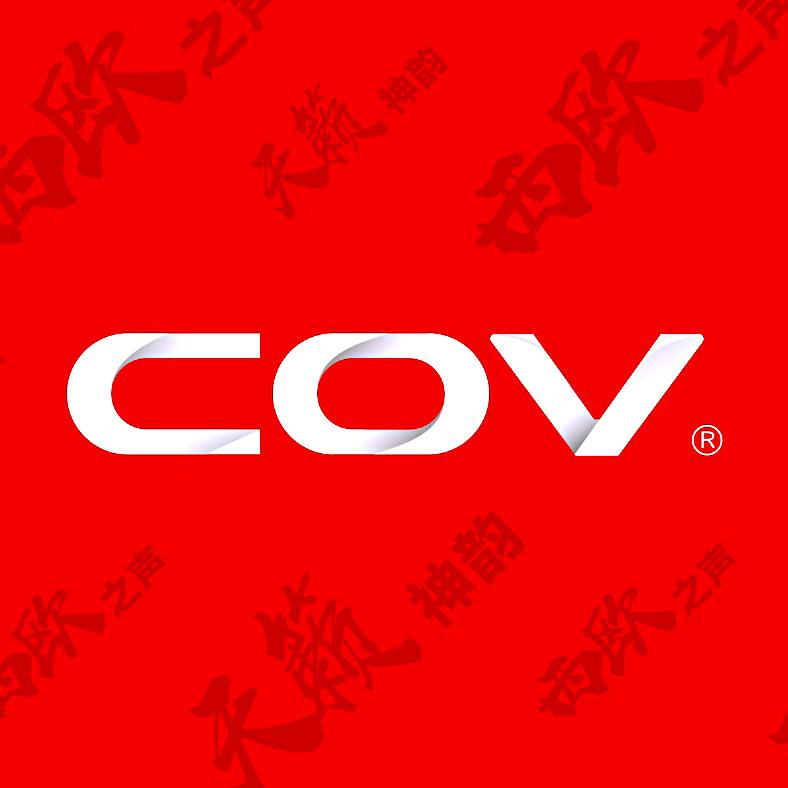 COV舞台音响直播间