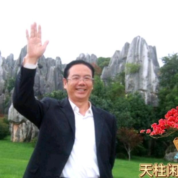 天柱闲人盆景