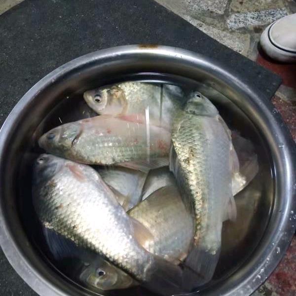 天天开开心心