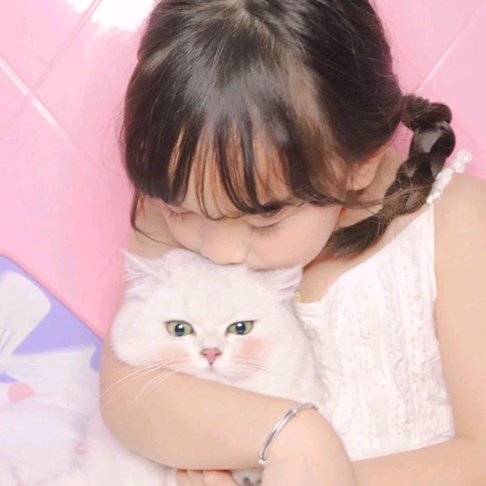 美美的小猫喵
