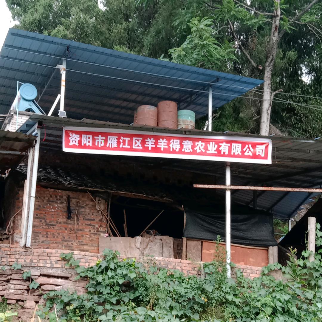 资阳市雁江区羊羊得意农业有限公司