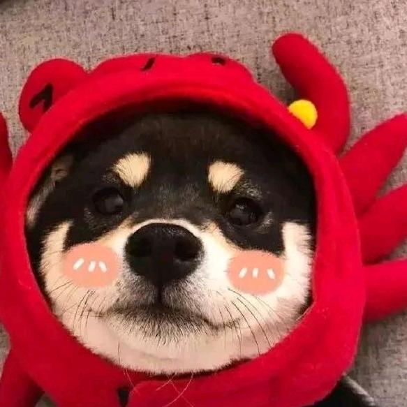 A、你看我像谁？ 🖤