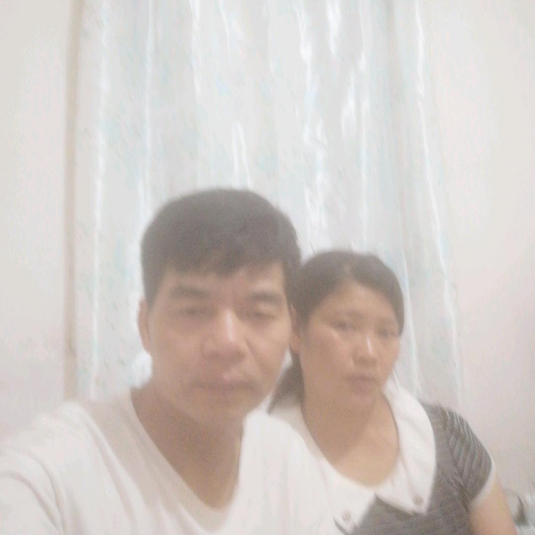 草上飞