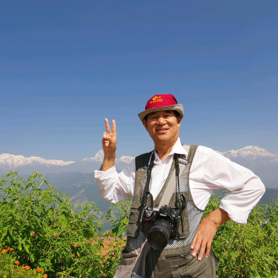 岱岳青松
