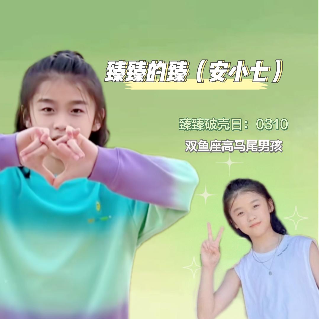 臻臻的臻