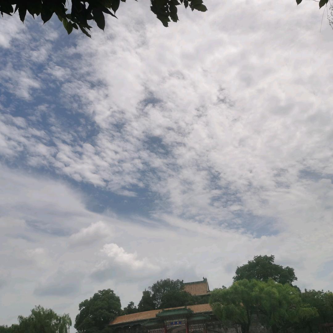 吃的饱饱，心情好好