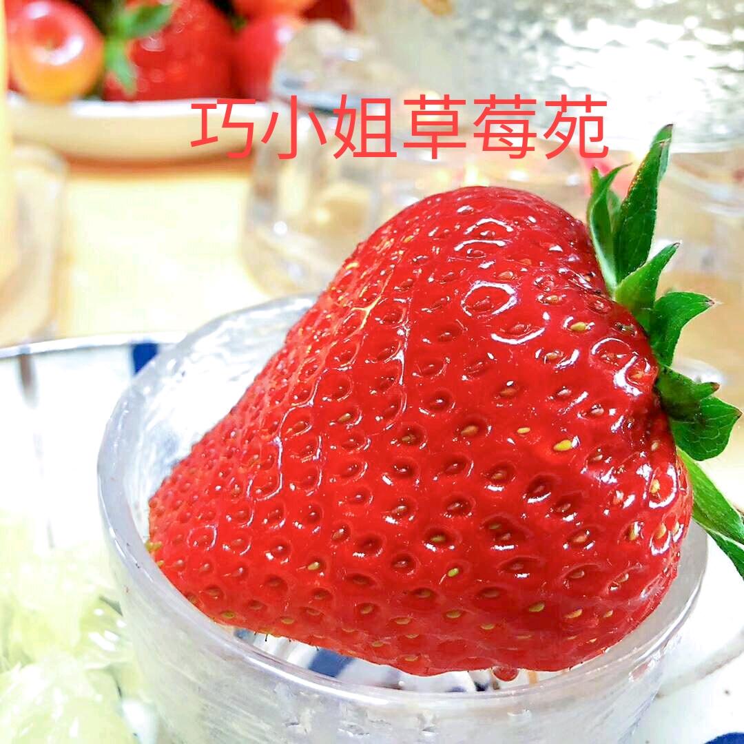 巧小姐