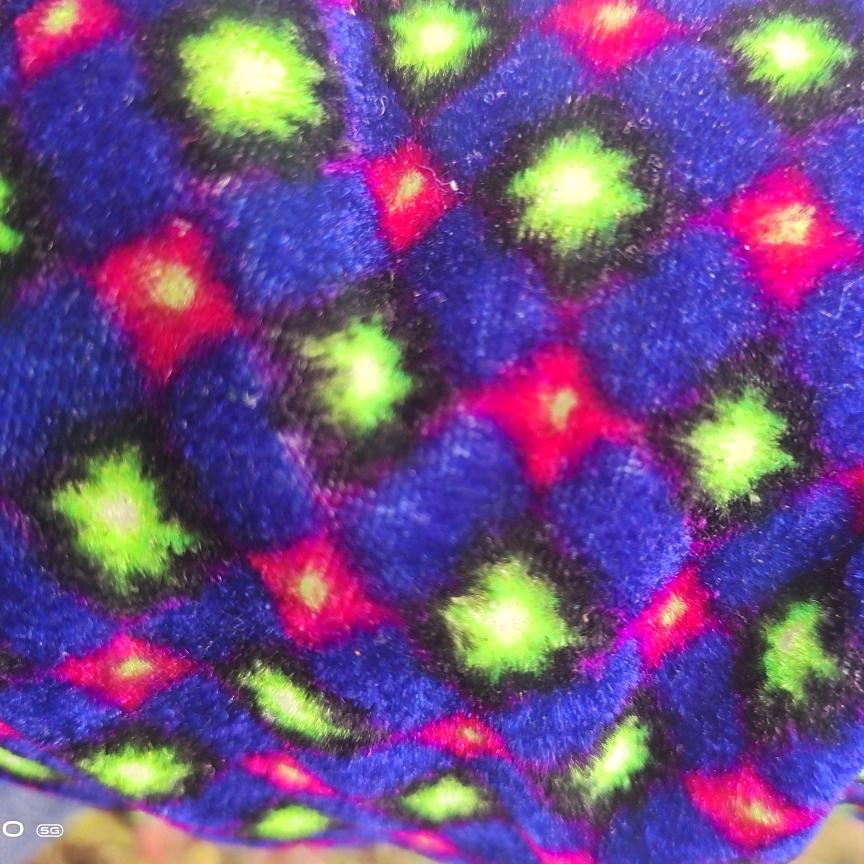 山旮旯飞出金凤凰