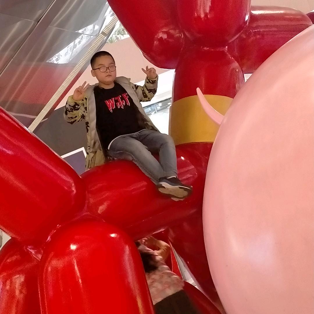 遗失的猫咪头像