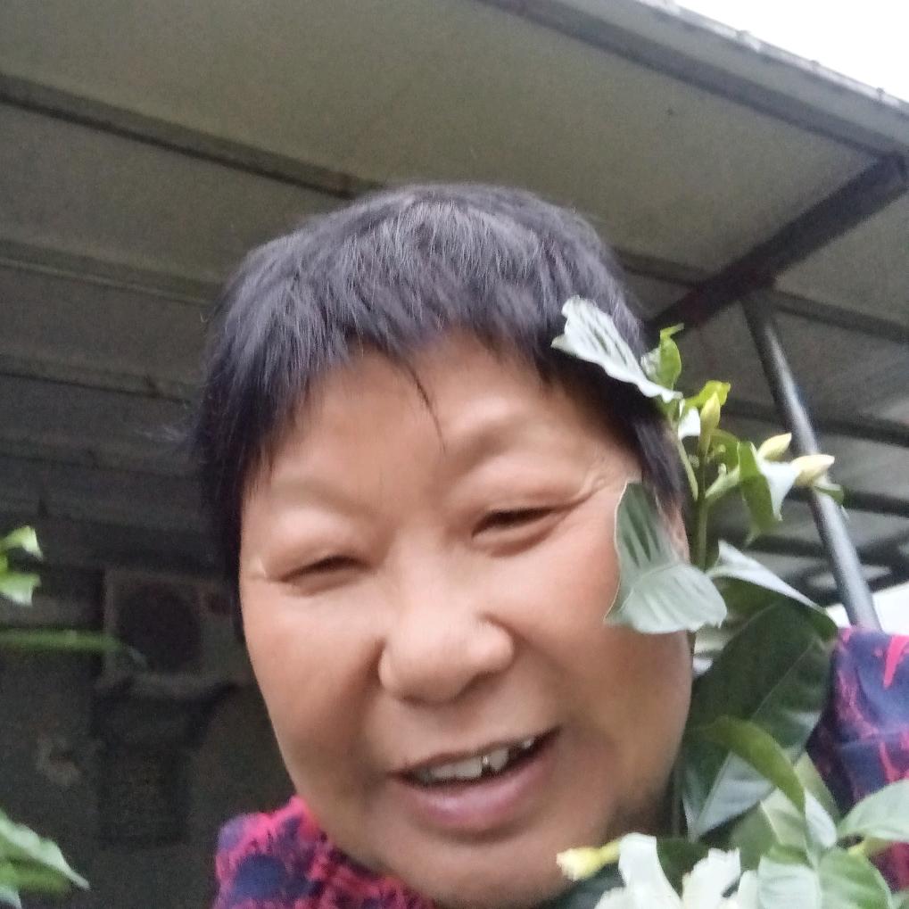 陈佛姐