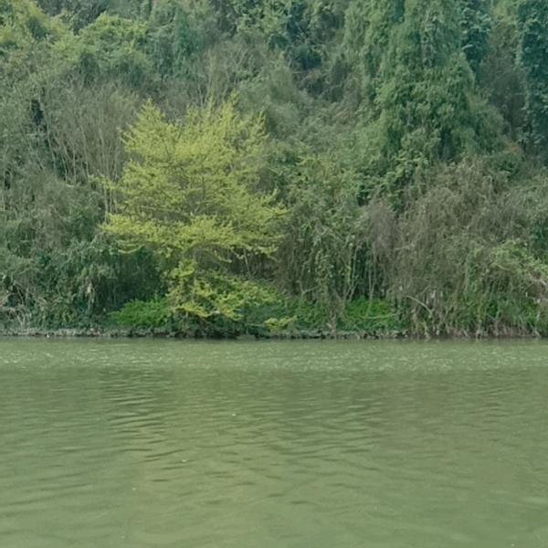 汉水河畔