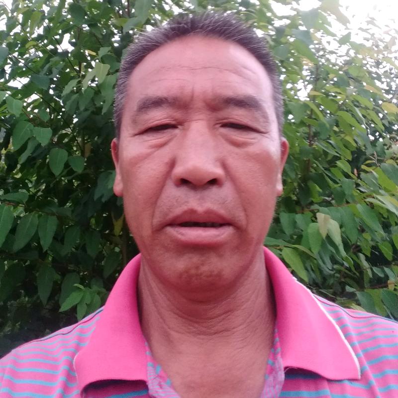 人生自由