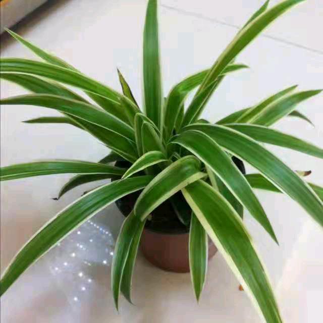 永新私房菜