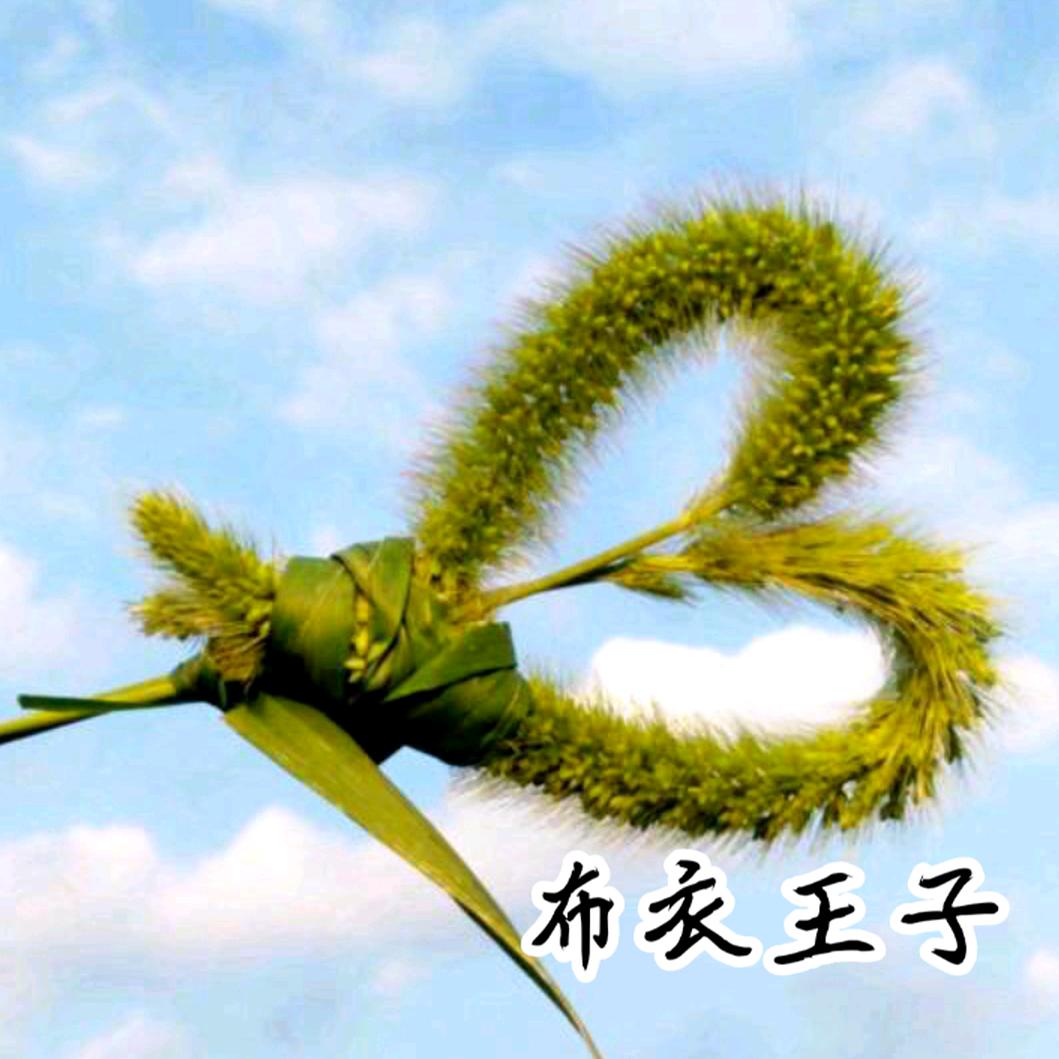 布衣王子