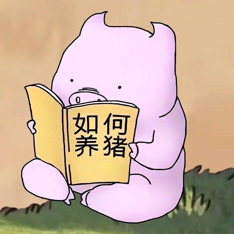 明日猪价信息