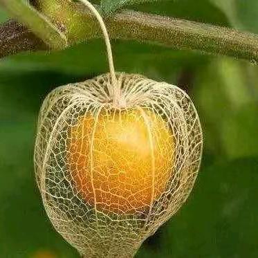 陕北面馆张家亭子店