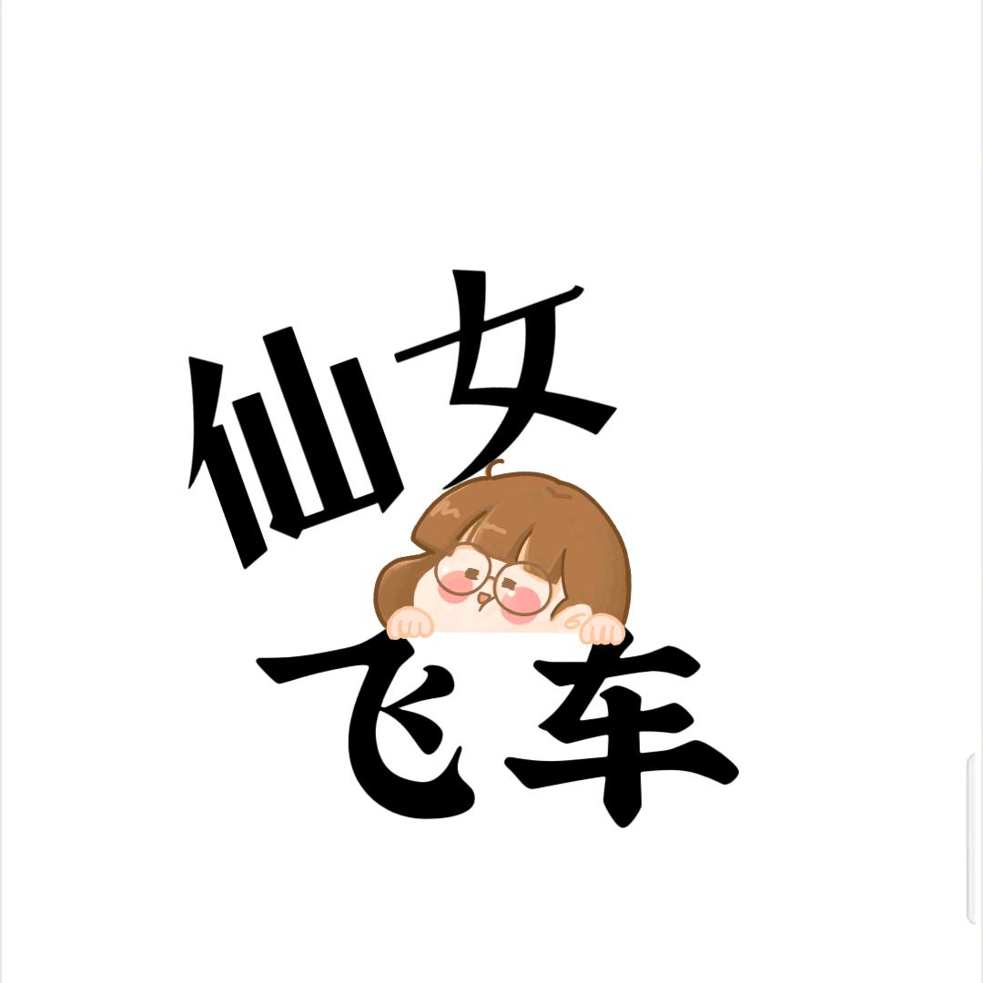 仙女飞车