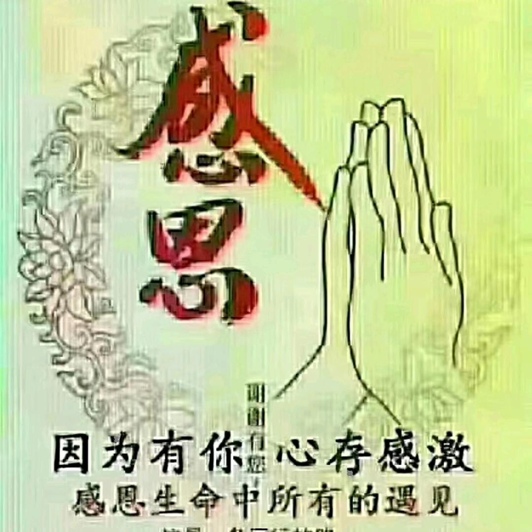 爱上短视频