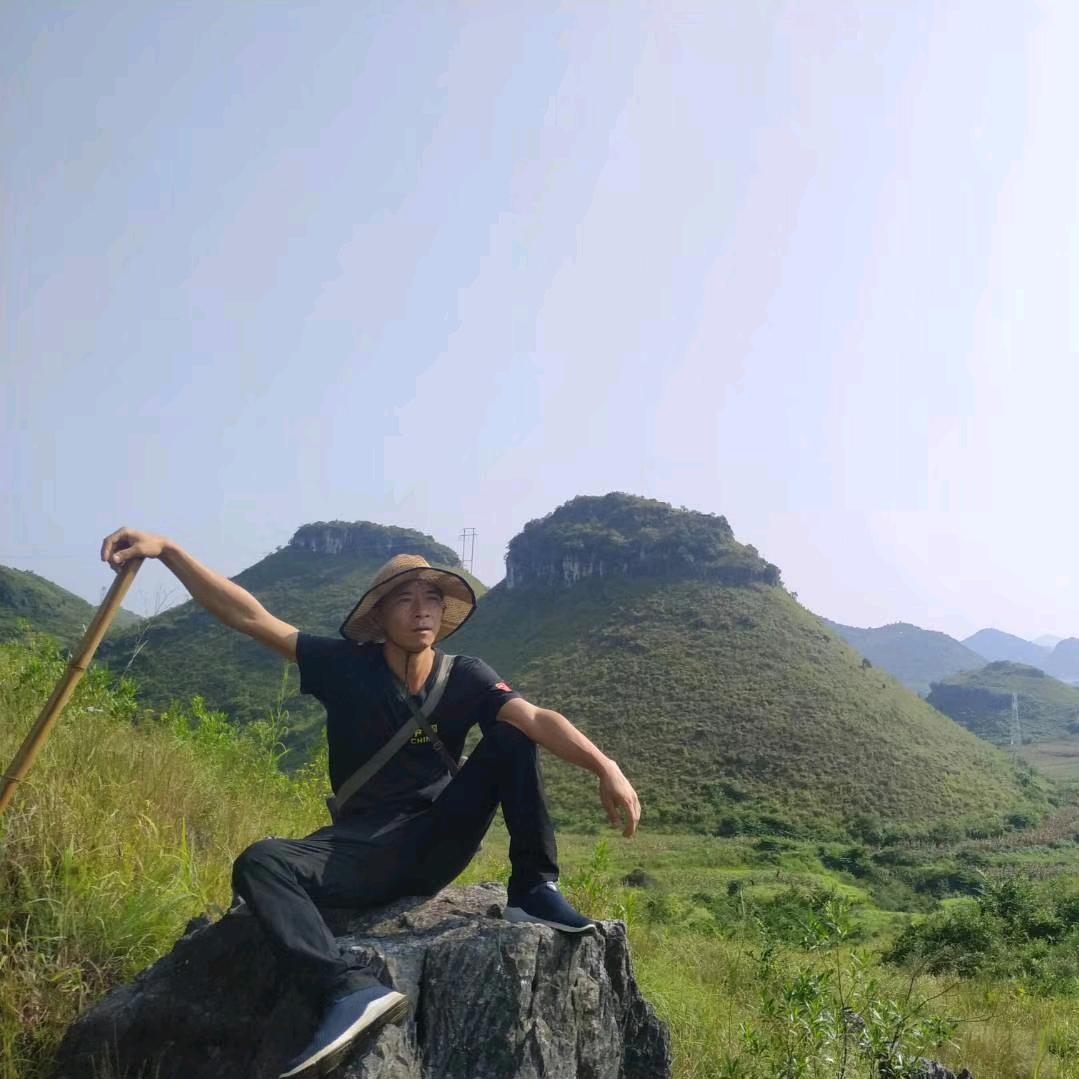 老奕蹦山虎