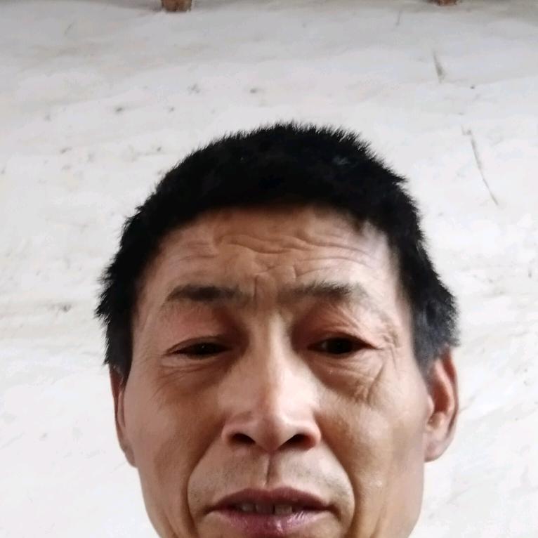 胡天 汽