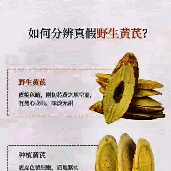 浑源黄芪（正北芪）