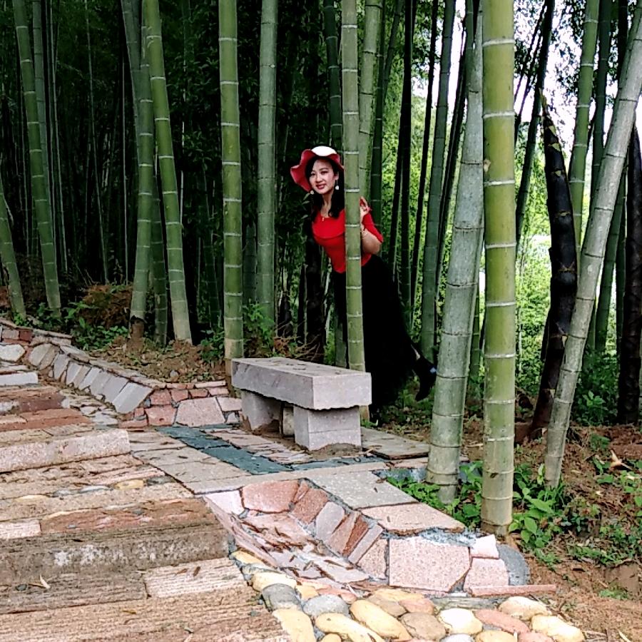 我是你的朋友芳芳