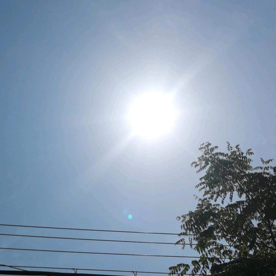 蜗牛有房