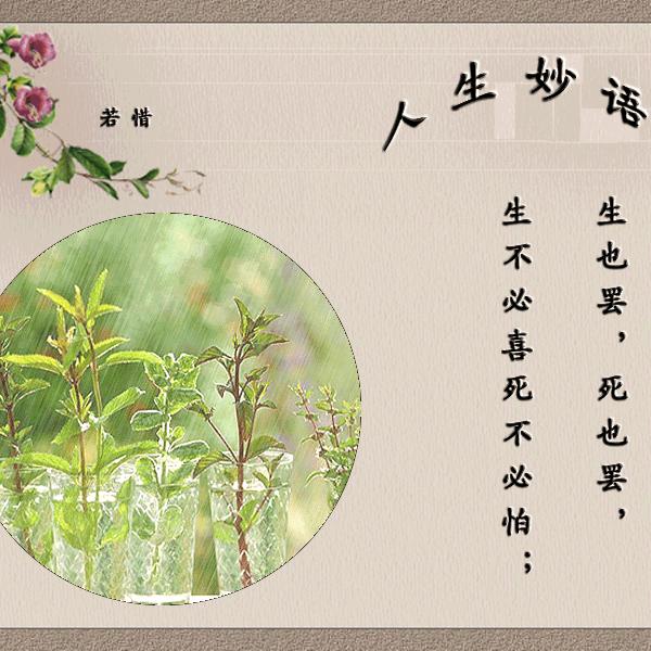 心的开始