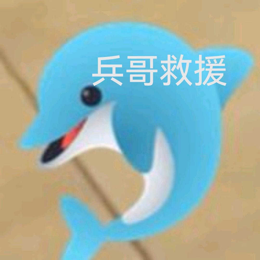兵哥救援