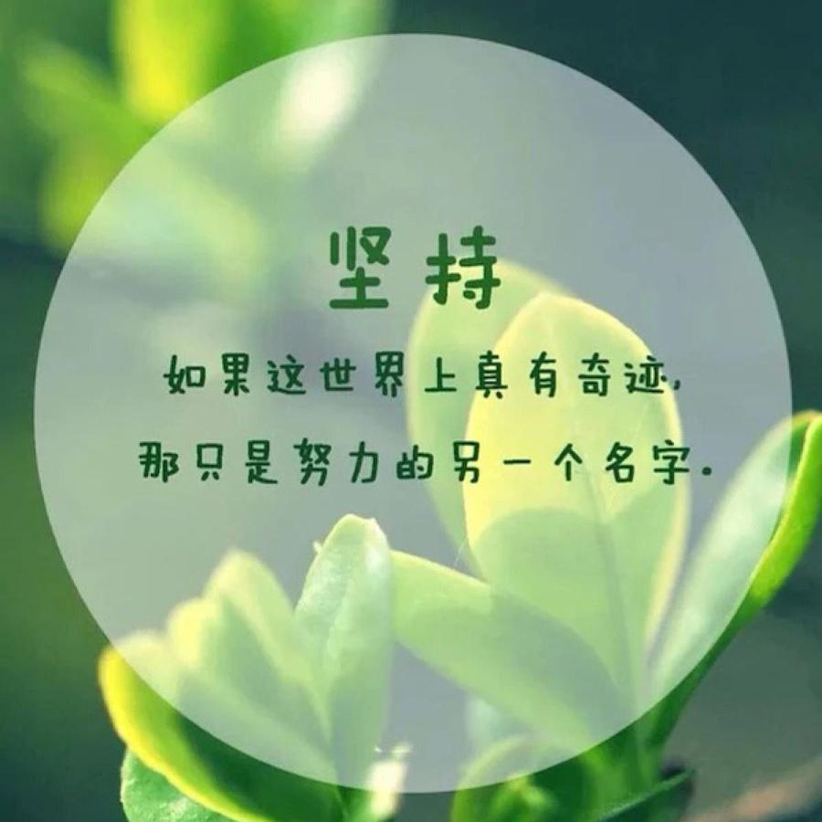 高小考的学业规划