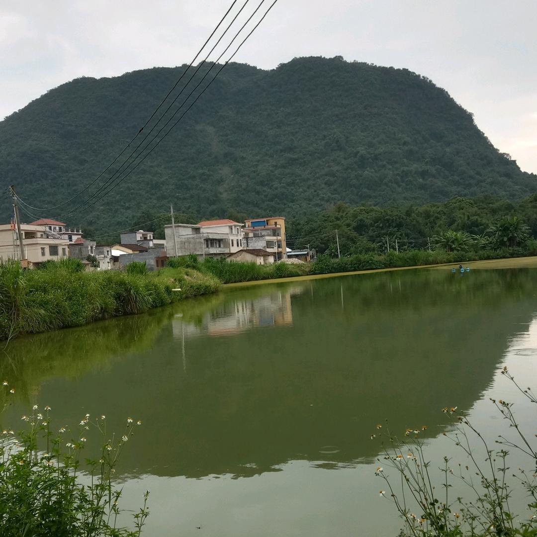 感恩有你