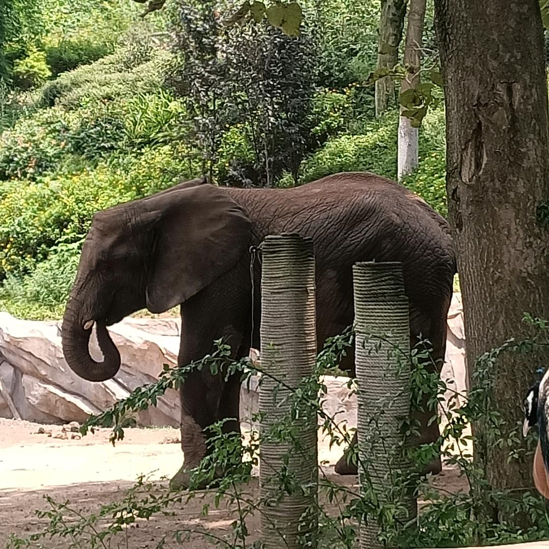 语燕剧情